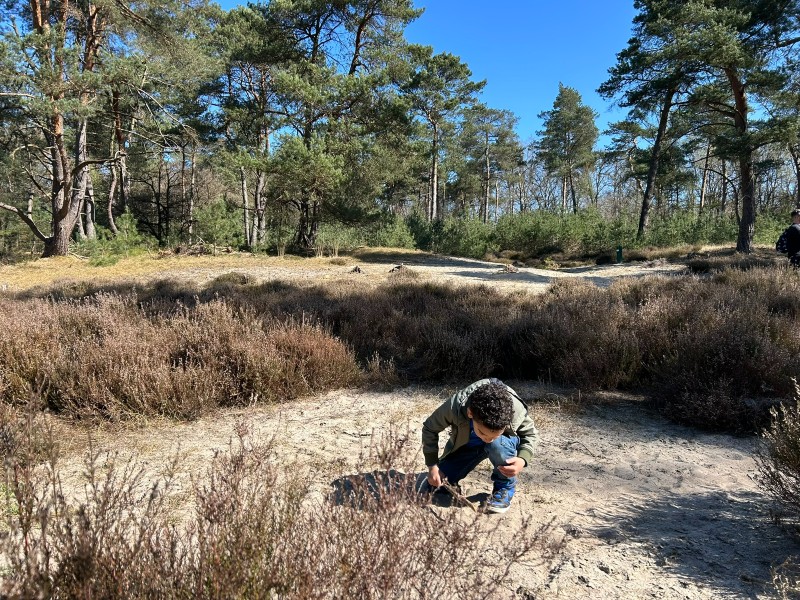 Sporen zoeken op de Veluwe