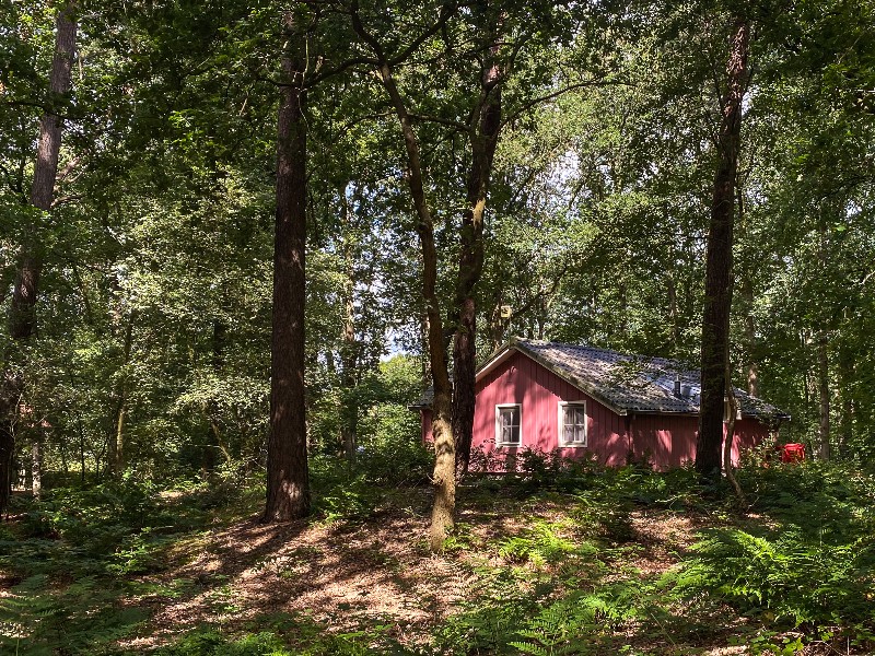 Een mooi chalet verscholen tussen de bomen op camping de roos