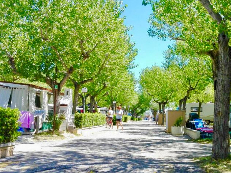 Vier jij komend jaar je vakantie op de gemoedelijke camping International Riccione?