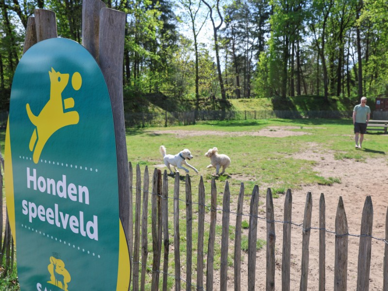 Camping Samoza is ook geschikt voor honden, die hier lekker los kunnen op het hondenspeelveldje