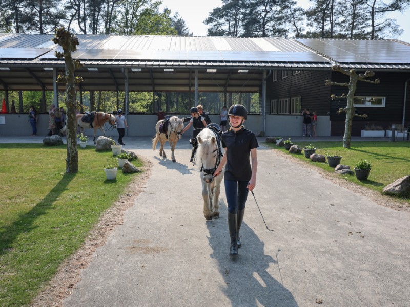 Paardenliefhebbers komen aan hun trekken op camping Samoza, want hier zit een heuse manege