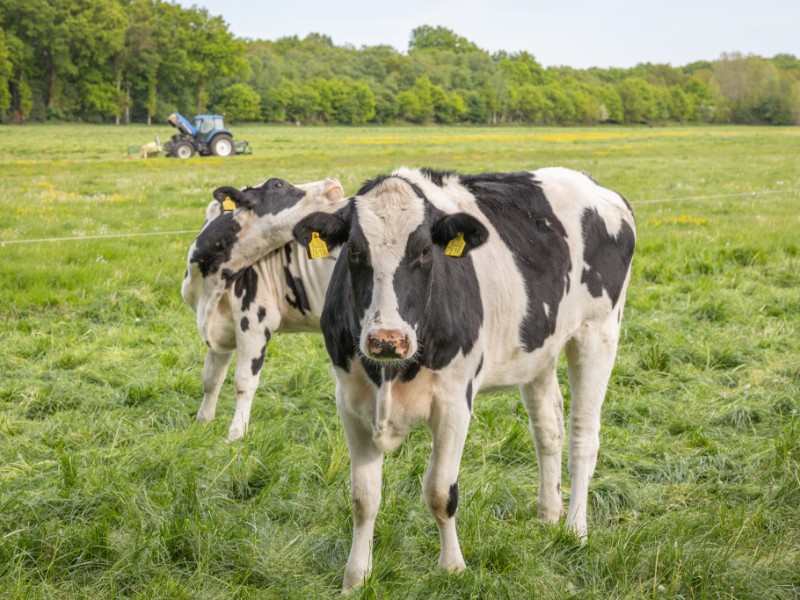 Als je het bos uitfietst, zit je op het mooie Overijsselse platteland