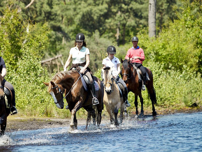 Leuke pony- en paardrijactiviteiten bij Center Parcs Het Heijderbos