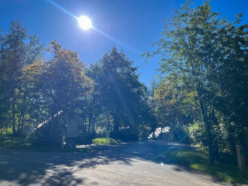 De huisjes op Center Parcs Les Ardennes tijdens een zonovergoten dag in Juni