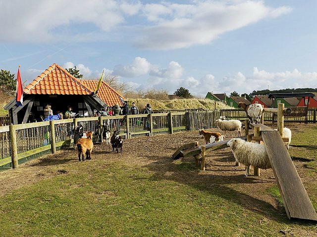 Diertjes aaien op de kinderboerderij
