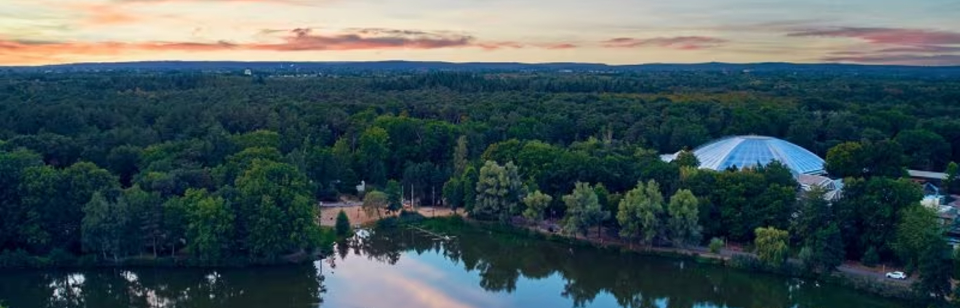 Uitzicht over het mooi gelegen Center Parcs Heijderbos tussen de bomen aan een meer.