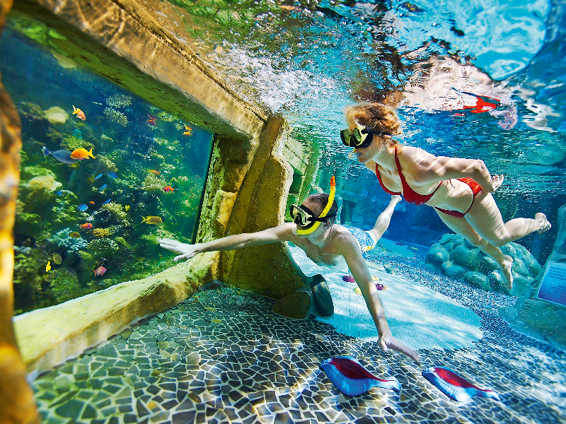 Waan je op een tropische bestemming tijdens het snorkelen in het snorkelbad van de Aqua Mundo van Center Parcs