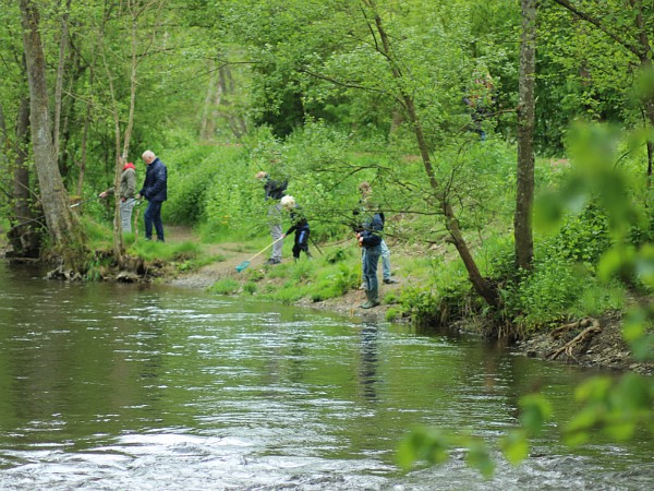 Visjes vangen in de rivier