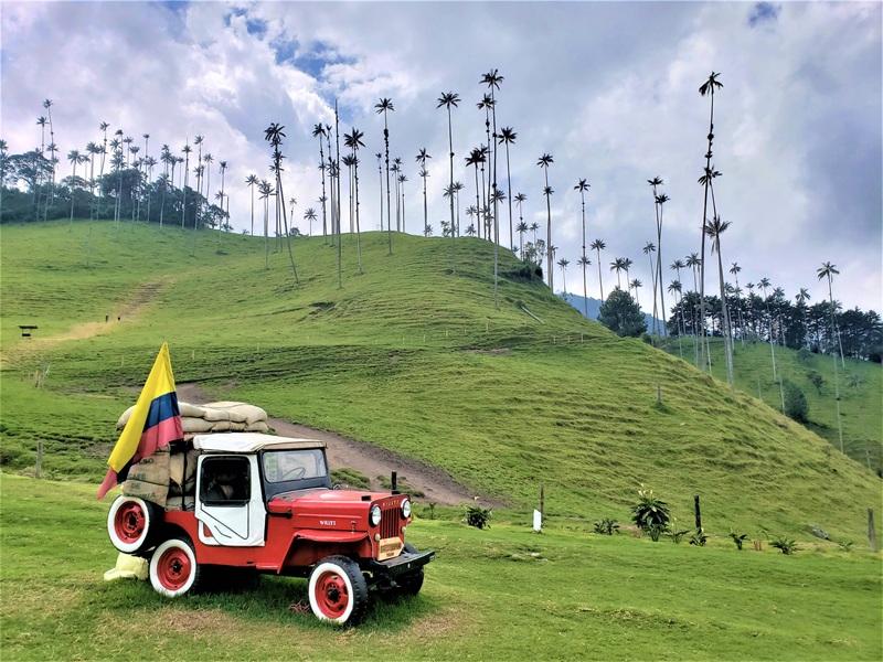 De Cocora Vallei in Colombia