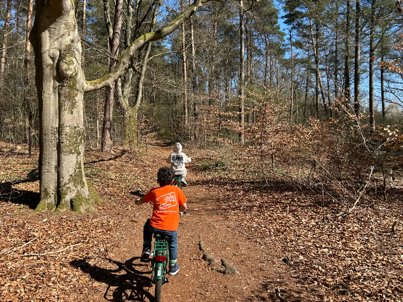 Je kan prachtig fietsen door de natuur bij Landal Coldenhove