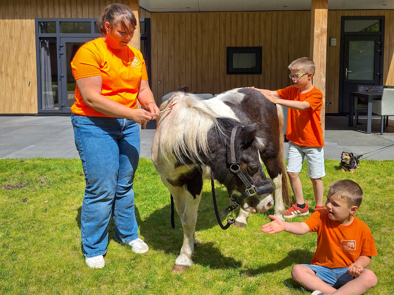 Met de kinderen de pony aan het verzorgen 