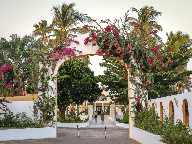 De mooie toegangspoort van Sun beach, vol bloeiende bloemen