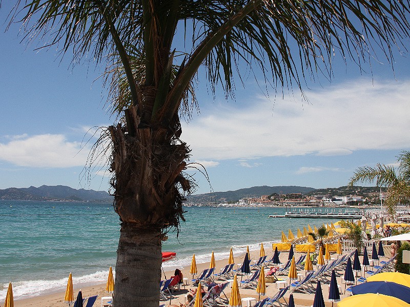 Wissel je hotelzwembad of het strand eens af met een spetterend waterpark!
