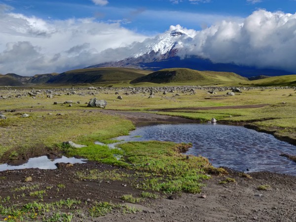 De Cotopaxi vulkaan in de Andes