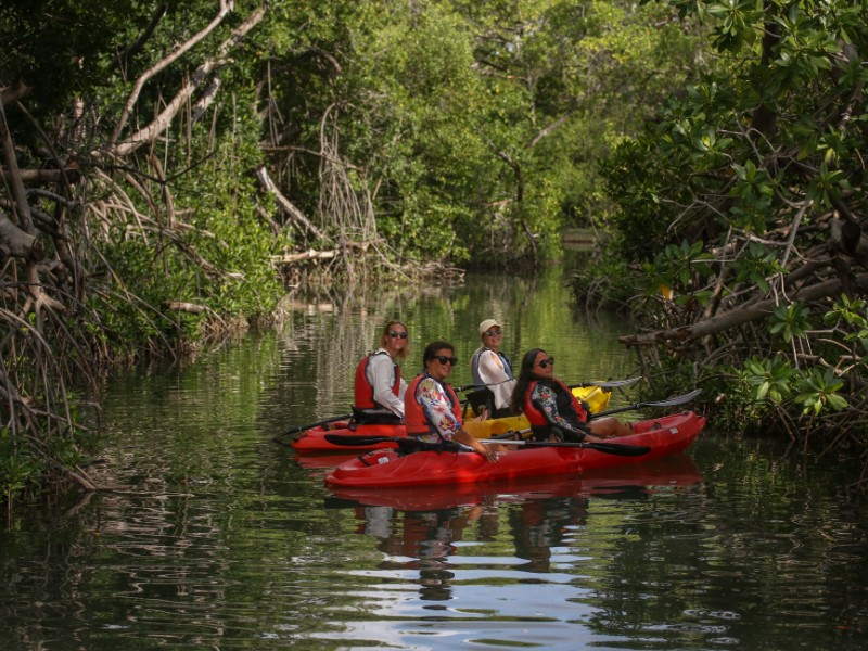 Rondom het hotel liggen de Mangroves. Hie rkkun je leuk doorheen kayakkken met thet gezin.