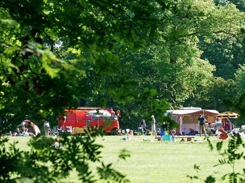 Ruim kampeerveld bij de hoevens