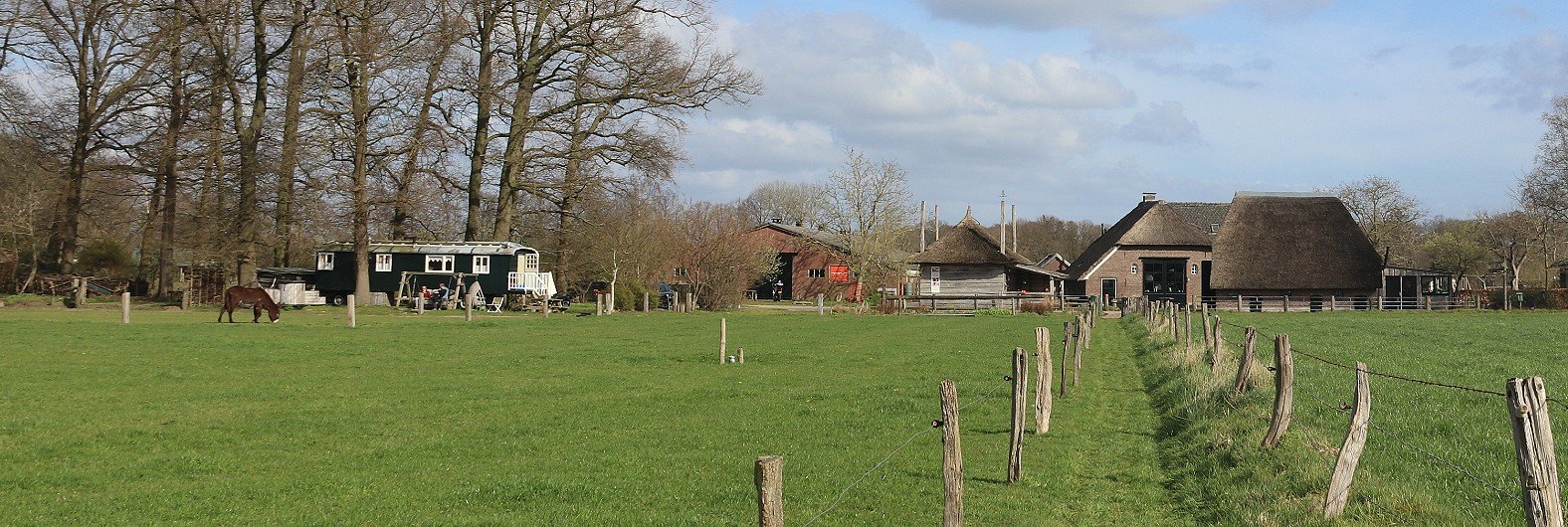 Zicht op Boerderij De Kleine Wildenberg vanaf de kampvuurplaats in het weiland. Links de Pipowagen en de ezelweide.