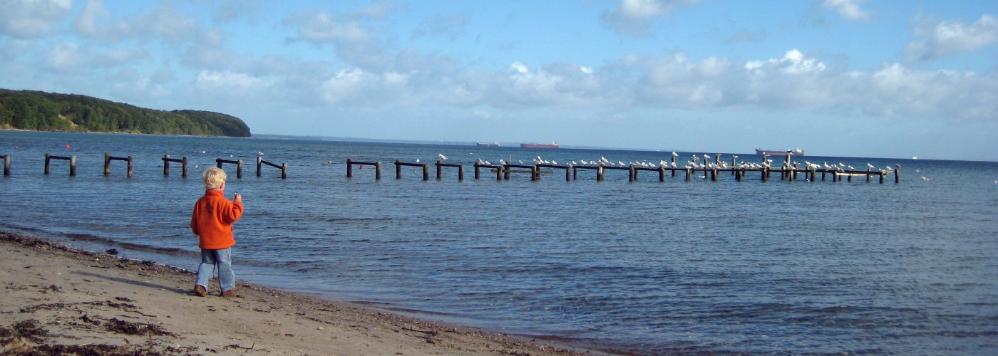 De kust van Denemarken kent vele gezichten. Van witte krijtrotsen, tot brede zandstranden.