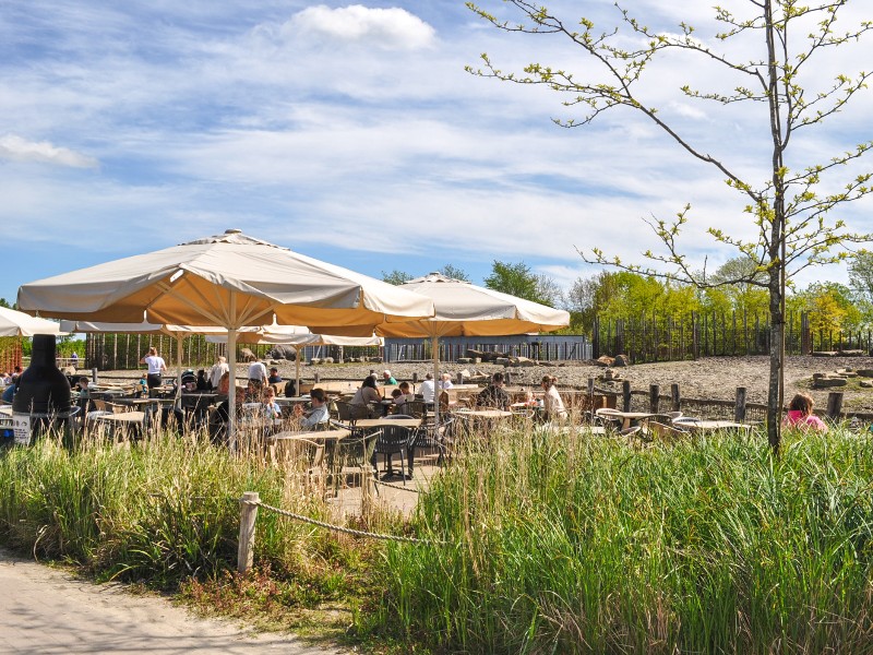 Lekker in de zon op het terras in dierentuin Dierenrijk