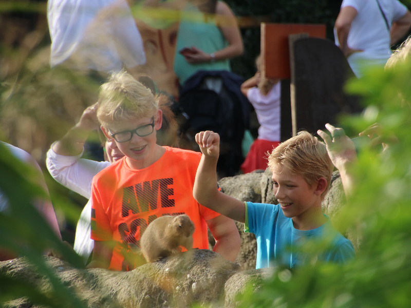Zeb en Tycho bij de prairiehondjes in Diergaade Blijdorp