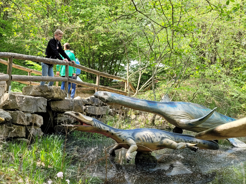 Zeb kijkt naar de dino's