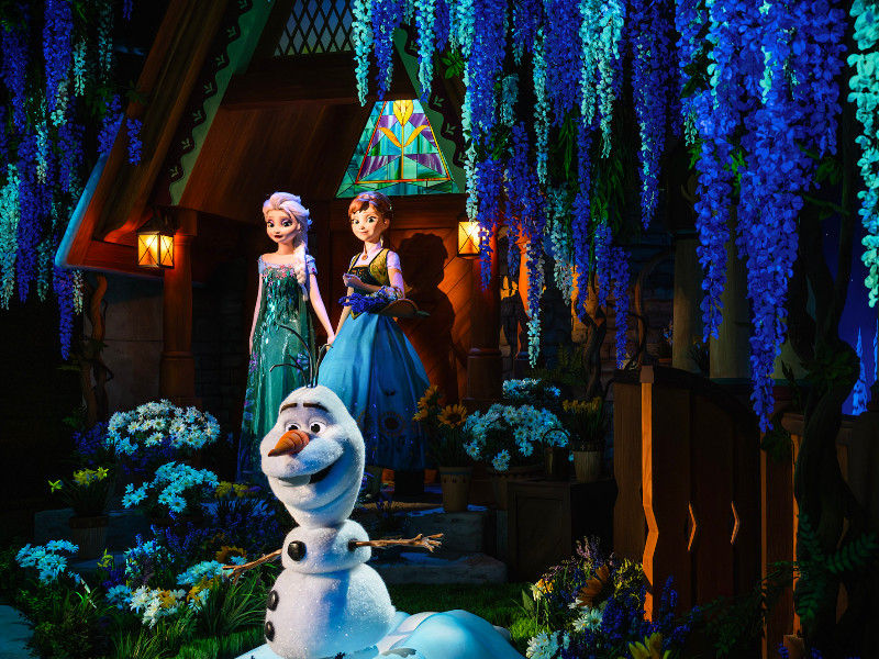 Frosen in Disneyland