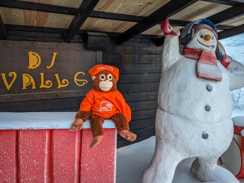 Mascotte Valle kom je overal tegen, hier als DJ