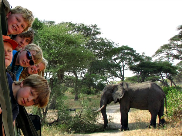 Poseren bij de olifant