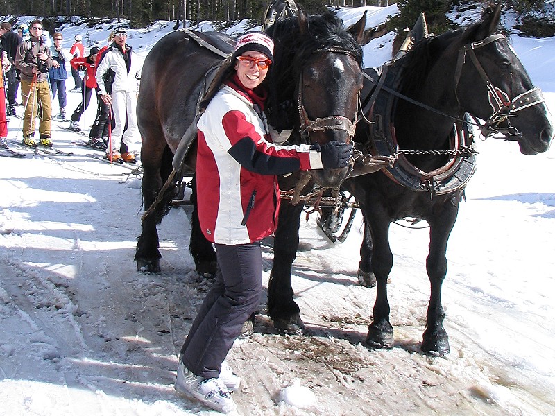 Er is zelfs een paardensleeplift in Alta Badia!