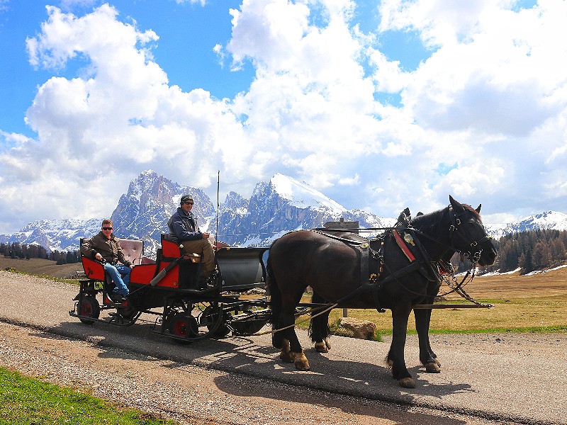 Op pad met de paarden op de Seiseralm
