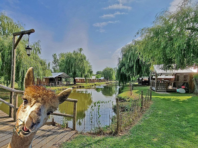 De glampingtenten liggen er prachtig bij in de mooie tuin aan het water