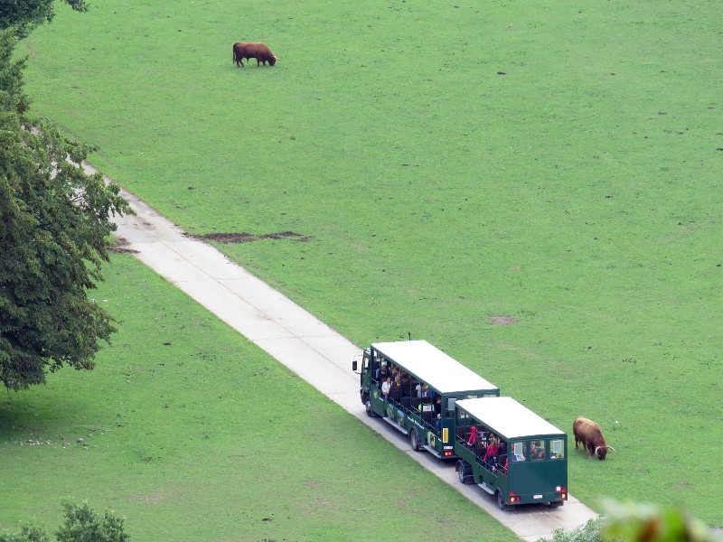 Een safaritreintje in het wildpark