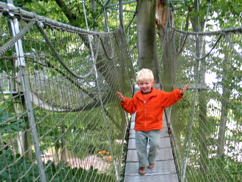 Door de boomtoppen bij Kasteel Egeskov