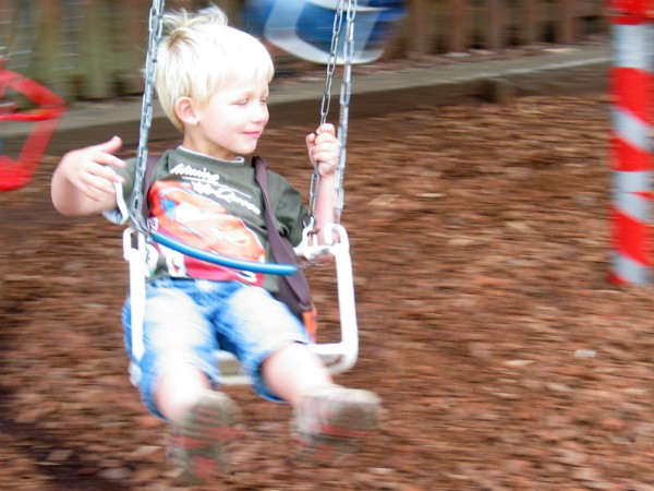 Leuke kleine draaimolen in Rosarium