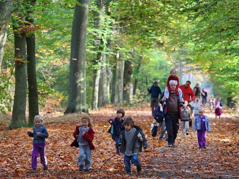 Lekker wandelen in de mooie bosrijke omgeving