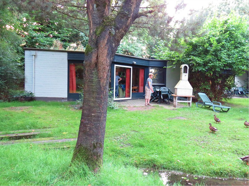 Eendjes voeren bij de cottage