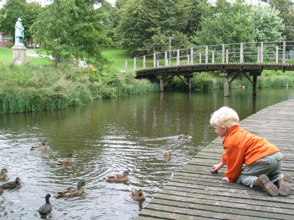 Eendjes voeren in Odense op sprookjeseiland Funen