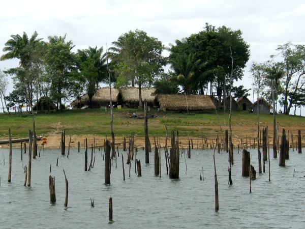 Boomtoppen steken nog boven het water uit in het Brokopondomeer bij Tukunari eiland