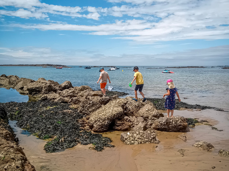 De kids gaan visjes vangen in zee
