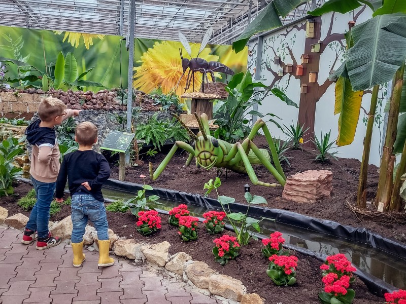 De nieuwe thematuin met grote insecten bij Erlebnispark Emsflower
