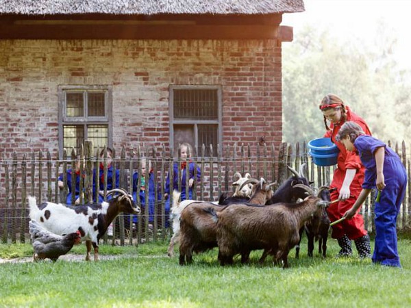 Kids helpen met het voeren van de dieren