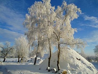 Winters plaatje bij Erve Getkot