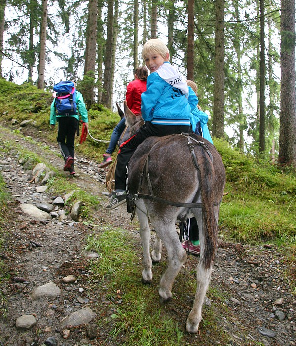 ezeltocht, kinderen mogen op de rug meerijden.