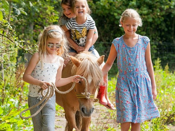 Pony rijden bij Farmcamps het Geele Bosch