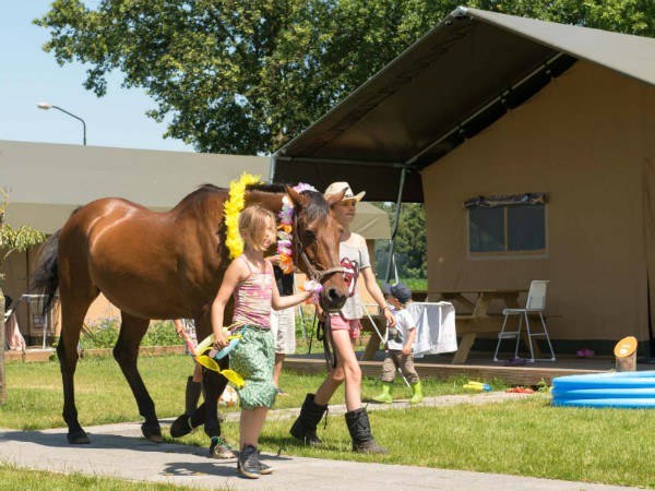 Meisjes met een paard bij de tenten van FarmCamps Breehees