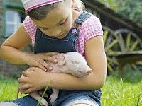 farmcamps knuffelen met konijn
