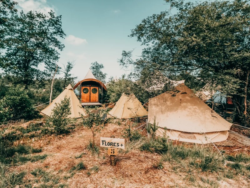 bijzonder overnachten op een festival camping