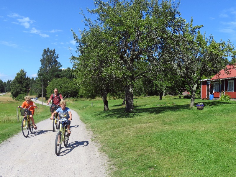 Met een gehuurde fiets ontdekken we het eiland Hasselö
