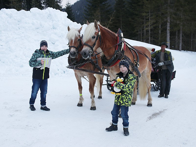 Een ander leuk uitstapje in het sneeuwzekere skigebied Filzmoos: met de arrenslee mee!