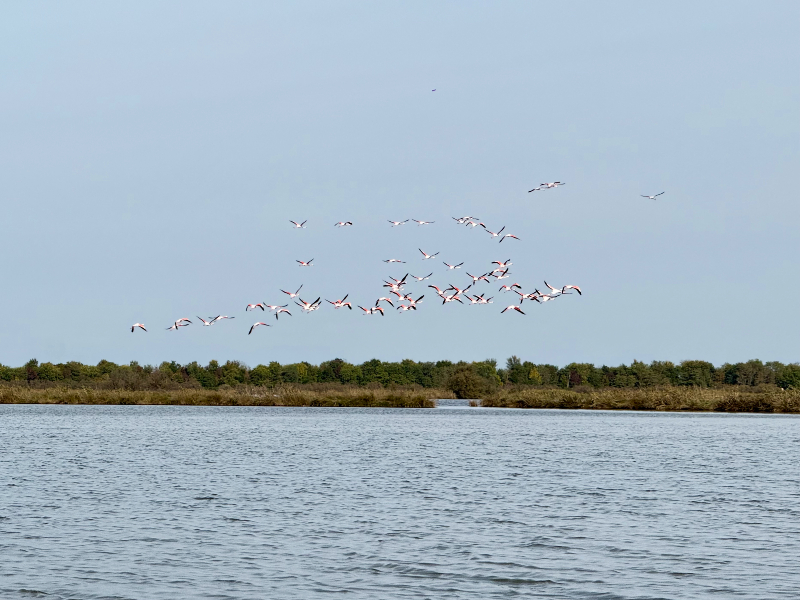 Excursie door Val Grande, met de kano langs de flamingo's